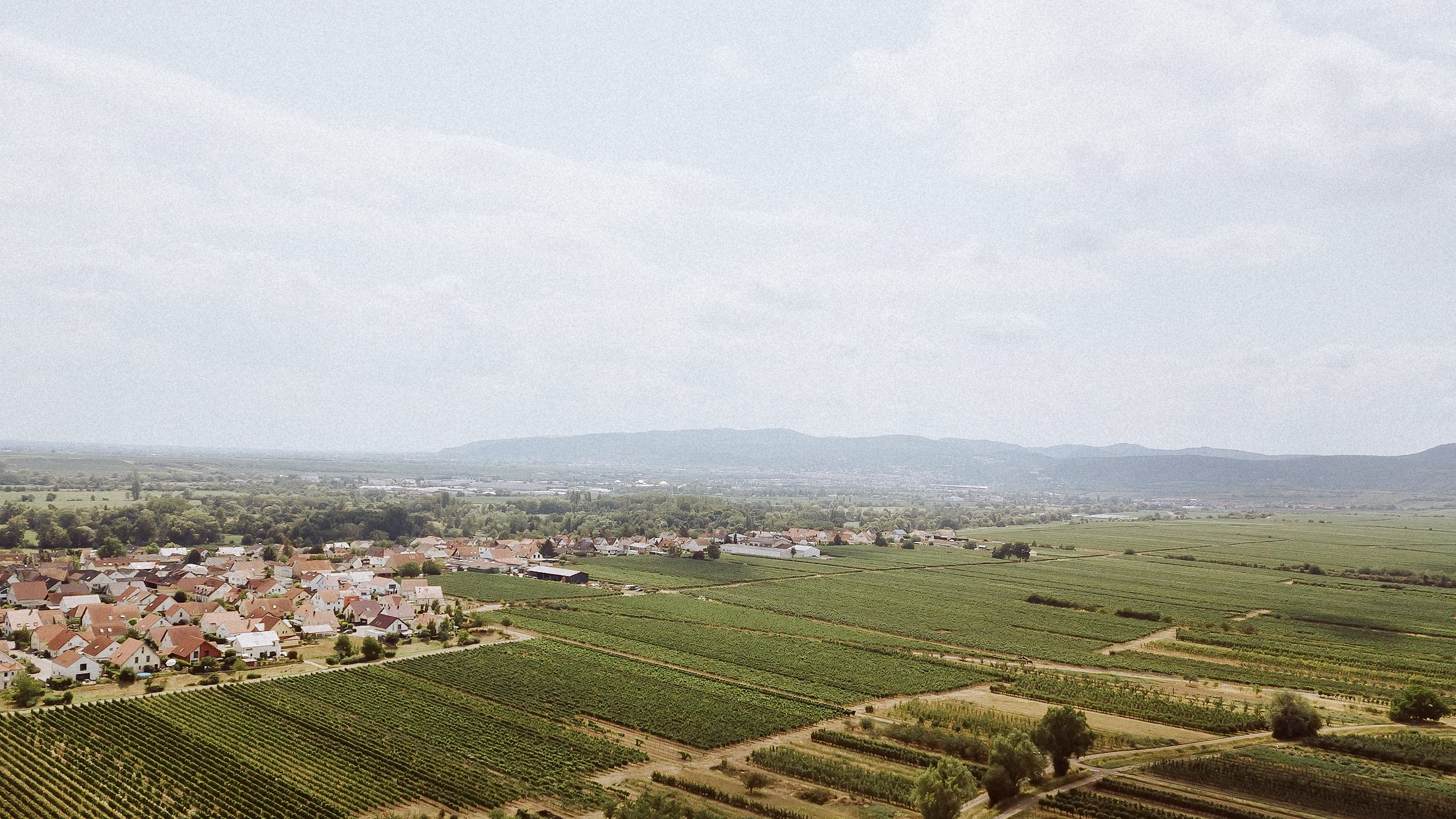 Drohnenfoto der Pfalz bei der Hochzeitsreportage im Morrhof Großkarlbach