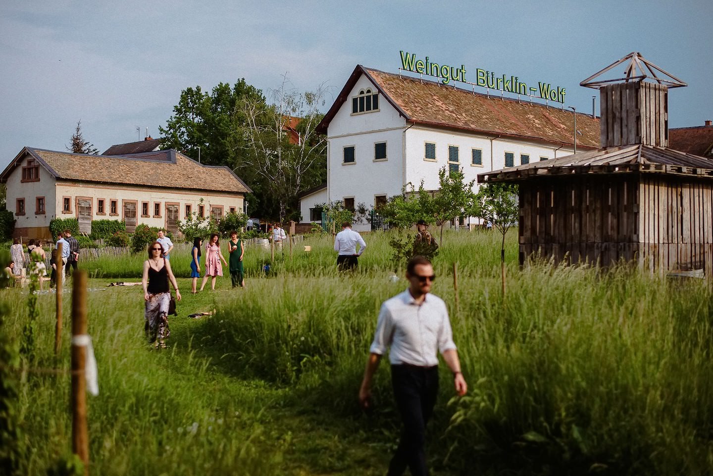 Wiese beim Hofgut Ruppertsberg bei einer Hochzeit